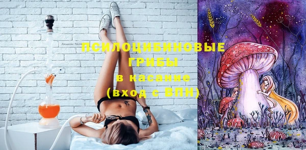 стафф Алексеевка
