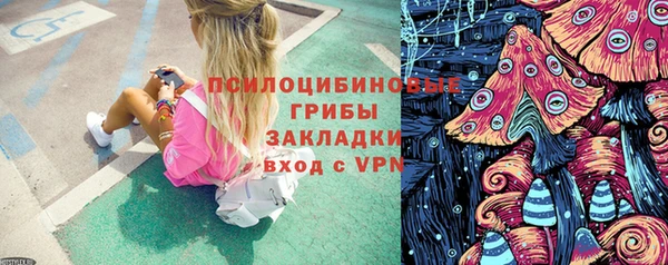 бошки Аркадак