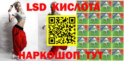 тгк Кингисепп