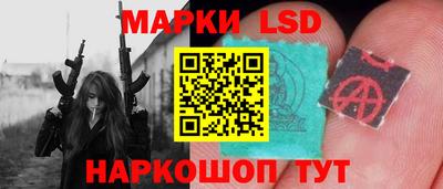 тгк Кингисепп