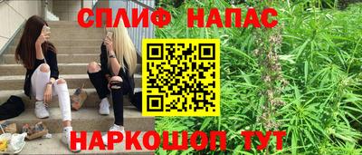 тгк Кингисепп