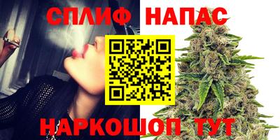 дживик Кинель