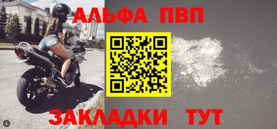 тгк Кингисепп