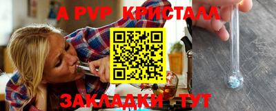 тгк Кингисепп