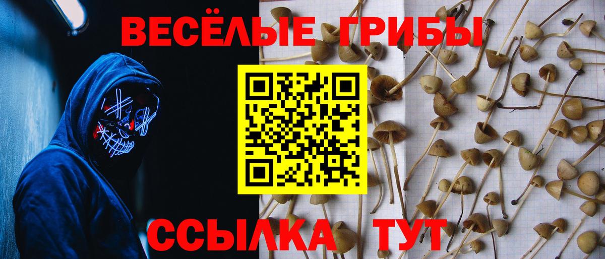 Лениногорск  Псилоцибиновые грибы MAGIC MUSHROOMS  Вход с VPN 